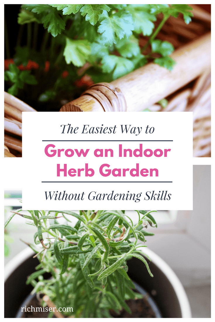 The Easiest Way to Grow an Indoor Herb Garden