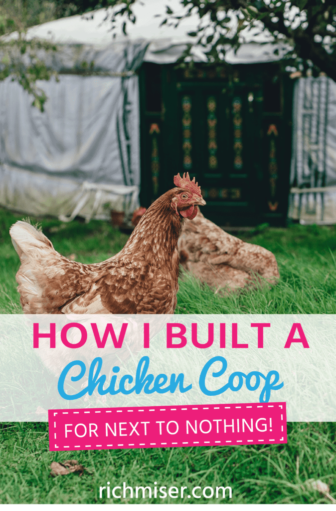 How I Built a Chicken Coop for Next to Nothing!