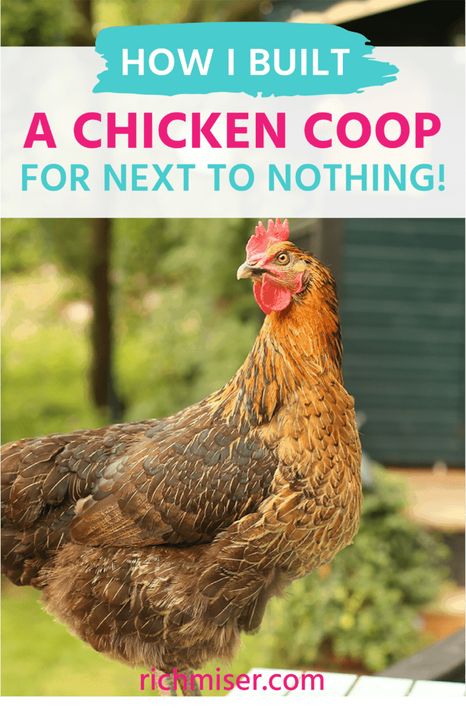 How I Built a Chicken Coop for Next to Nothing!