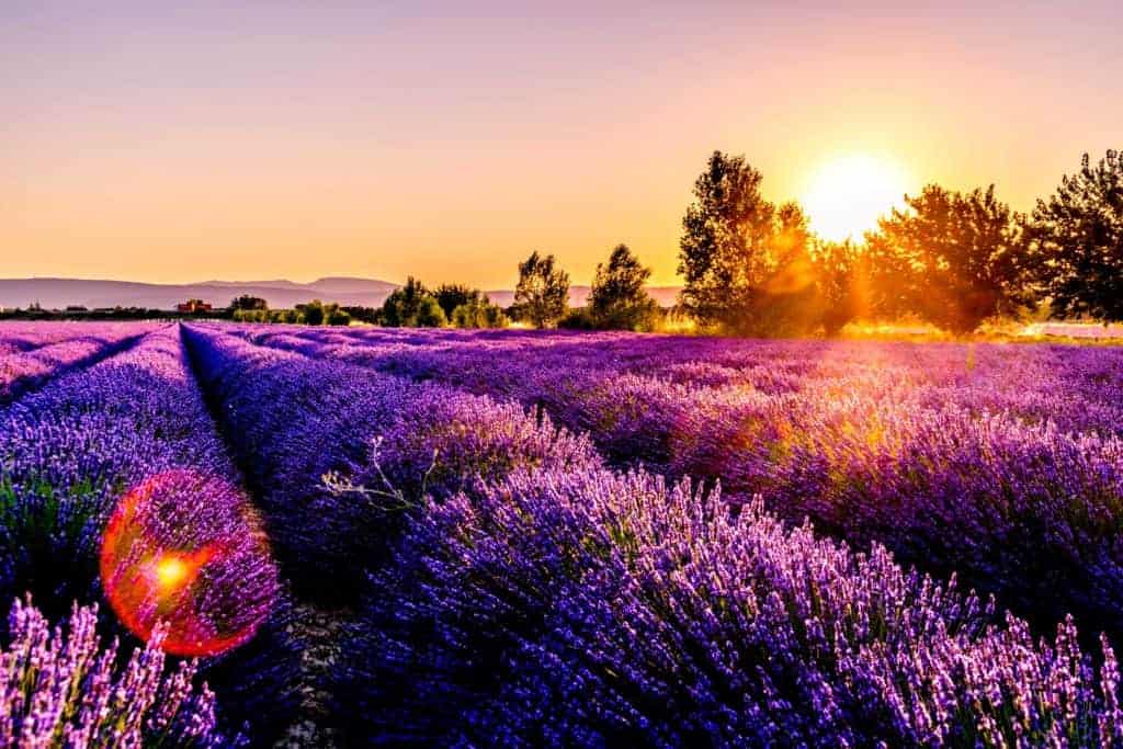 facts about France - beautiful fields