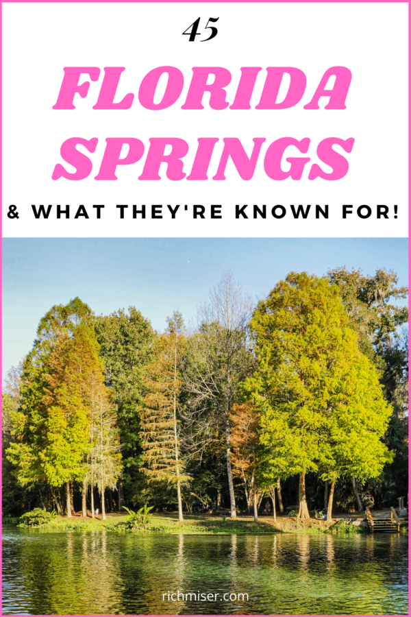 45 Florida Springs & What They’re Known For