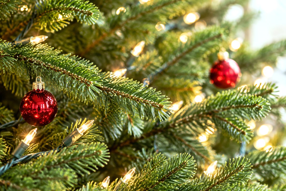 Christmas light strands woven between the branches of an artificial fir tree